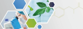 Organic Synthesis Organic Synthesis