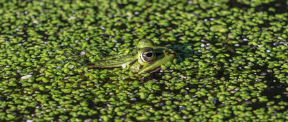 Plan for Unexpected Lab Interruptions